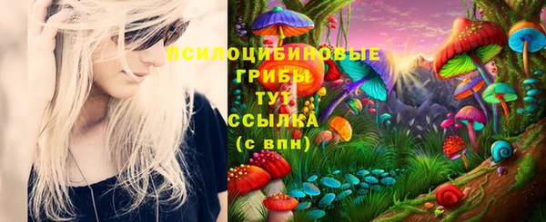 крисы Армянск